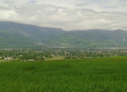 Satılır 6 sot torpaq İsmayıllı