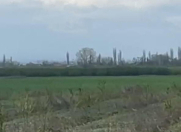 İcarəyə verilir 450 sot torpaq Xaçmaz