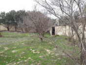 Satılır 12 sot torpaq Novxanı