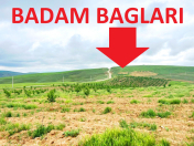 Satılır 2 otaqlı 1030 m2 obyekt Şamaxı