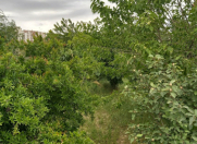 Satılır 10 sot torpaq Fatmayı