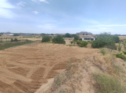 Satılır 6 sot torpaq Nardaran