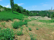 Satılır 11 sot torpaq Quba