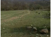 Satılır 100 sot torpaq Qusar