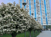 Satılır 3 otaqlı 87 m2 yeni tikili Elmlər Akademiyası m.