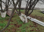 Satılır 10 sot torpaq Bilgəh