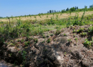 Satılır 200 sot torpaq Xaçmaz