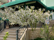 Satılır 5 otaqlı 200 m2 həyət evi 8 mkr