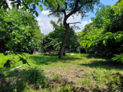 Satılır 10 sot torpaq Qəbələ