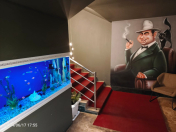 İcarəyə verilir 7 otaqlı 300 m2 obyekt Yasamal r.