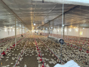 Satılır 5 otaqlı 6000 m2 obyekt Dədə Qorqud