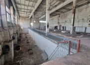 Satılır 900 sot torpaq Gəncə