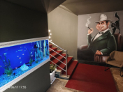 İcarəyə verilir 9 otaqlı 300 m2 obyekt Elmlər Akademiyası m.