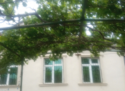 Satılır 3 otaqlı 100 m2 yeni tikili Y.Ramana