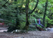 Satılır 7 otaqlı 4500 m2 bağ evi Oğuz