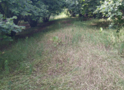 Satılır 35 sot torpaq Oğuz