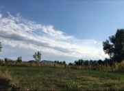 Satılır 6 sot torpaq Qazax