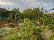 Satılır 3 otaqlı 90 m2 bağ evi Zirə