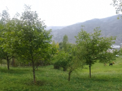 Satılır 12 sot torpaq İsmayıllı