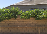 Satılır 3 otaqlı 100 m2 həyət evi Y.Ramana