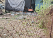 Satılır 8 otaqlı 285 m2 həyət evi Qəbələ