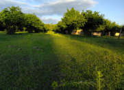 Satılır 60 sot torpaq Qəbələ