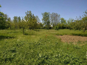 Satılır 20 sot torpaq Qusar