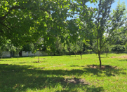 Satılır 40 sot torpaq Qəbələ