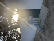 İcarəyə verilir 3 otaqlı 100 m2 bağ evi Bilgəh