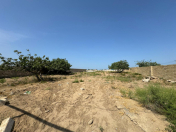 Satılır 12 sot torpaq Nardaran