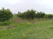 Satılır 168 sot torpaq Ağstafa