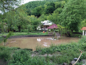 İcarəyə verilir 5 otaqlı 150 m2 bağ evi İsmayıllı