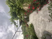 Satılır 6 sot torpaq Şəki