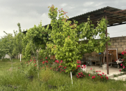 Satılır 6 sot torpaq Şəki