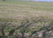 Satılır 4000 sot torpaq Qusar