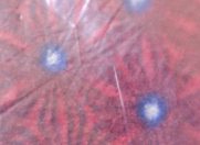 Satılır 0 sot torpaq AAF PARK