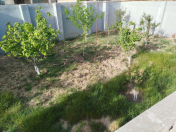 Satılır 4 otaqlı 170 m2 həyət evi Türkan