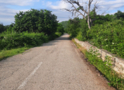 Satılır 103 sot torpaq Quba