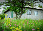 Satılır 3 otaqlı 100 m2 köhnə tikili Qəbələ