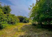 Satılır 12 sot torpaq Qəbələ