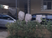 Satılır 10 sot torpaq Sahil