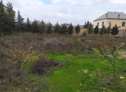 Satılır 10 sot torpaq Şağan