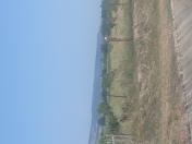 Satılır 40 sot torpaq Şabran