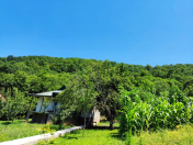 İcarəyə verilir 2 otaqlı 25000 m2 bağ evi Qəbələ