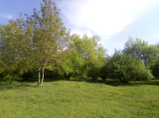 Satılır 44 sot torpaq Qəbələ