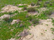 Satılır 12 sot torpaq Maştağa