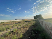 Satılır 100 sot torpaq Binə