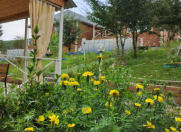 İcarəyə verilir 5 otaqlı 10000 m2 bağ evi Quba