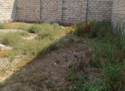 Satılır 2 sot torpaq Məhəmmədli