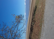 Satılır 250 sot torpaq İsmayıllı